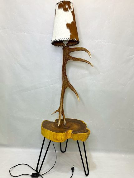 آباژور شاخ گوزن