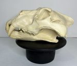 جمجمه شیر نر آفریقایی - Lion-model-1 - Image 22