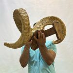 جمجمه شاخ قوچ ارگالی