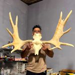 پیشانی جمجمه و شاخ گوزن موس moose-model-1 - Image 5