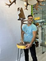 آباژور شاخ گوزن