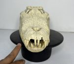جمجمه کروکودیل پوزه کوتاه- گاندو - Crocodile-model-1 - Image 6