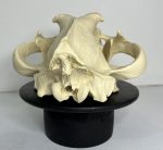 جمجمه شیر نر آفریقایی - Lion-model-1 - Image 11