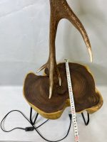 آباژور سالنی شاخ گوزن مدل-1   Lampshade-model-1 - Image 4