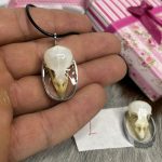 گردنبند جمجمه طبیعی پرنده گنجشک