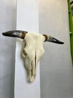 جمجمه و شاخ طبیعی گاو