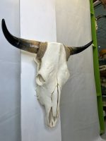 جمجمه و شاخ طبیعی گاو مدل 208 - cow-model--208 - Image 6