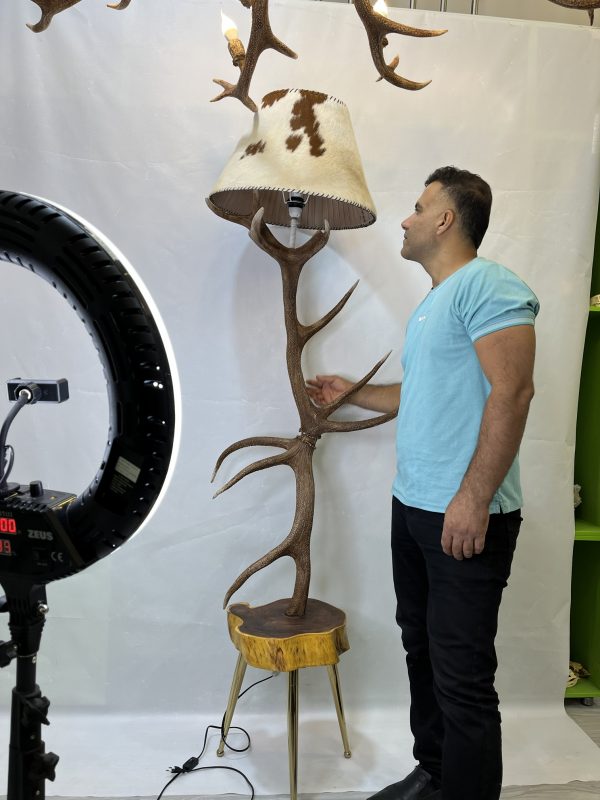 آباژور شاخ گوزن