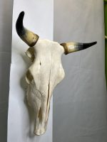 جمجمه و شاخ طبیعی گاو مدل - cow-model-K-39 - Image 3