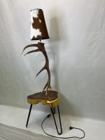 آباژور شاخ گوزن