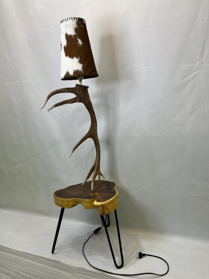 آباژور شاخ گوزن