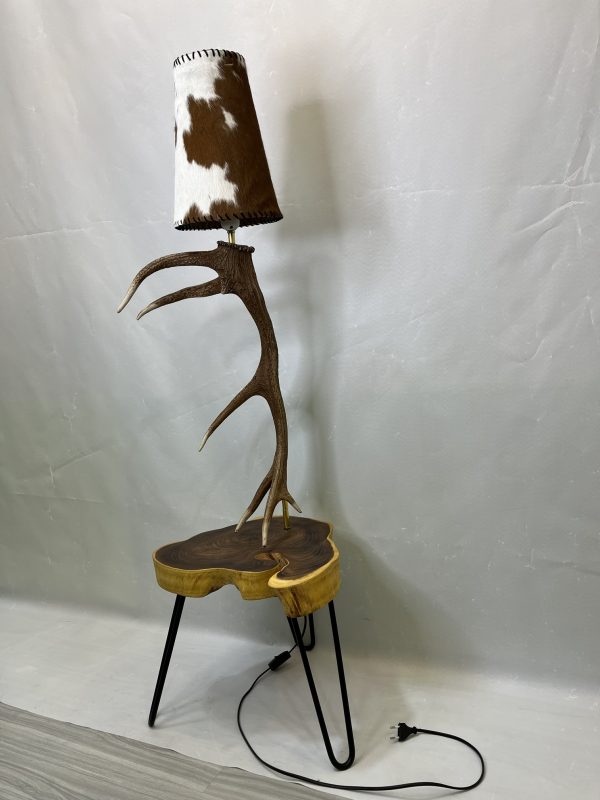 آباژور شاخ گوزن