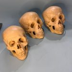 جمجمه انسان کهنه کاری شده