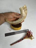 گلدان شاخ قوچ مدل 7 /  horn-model-7 - Image 2