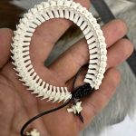 دستبند ستون فقرات مار طبیعی مدل 2 / model-2