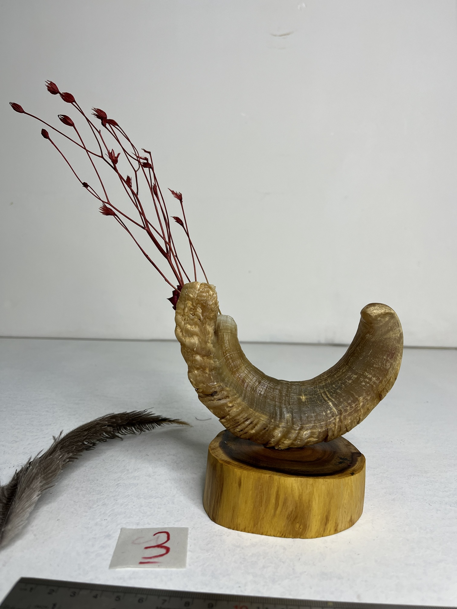 2 گلدان شاخ قوچ مدل 3 / horn-model-3 - Image 1