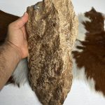 شاسی صخره پشت جمجمه پازن مدل 1 / model-1