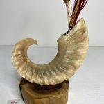 گلدان شاخ قوچ مدل 4 /  horn-model-4