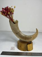 گلدان شاخ قوچ مدل 7 /  horn-model-7 - Image 4