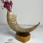 گلدان شاخ قوچ مدل 10 /  horn-model-10
