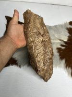 شاسی صخره پشت جمجمه پازن مدل 1 / model-1 - Image 4