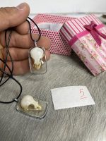 گردنبند جمجمه طبیعی پرنده گنجشک Model-5 - Image 5