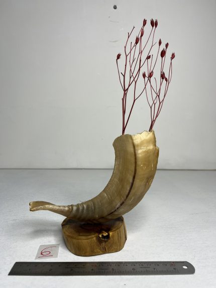 گلدان شاخ قوچ مدل 6 /  horn-model-6