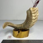 گلدان شاخ قوچ مدل 8 /  horn-model-8