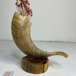 گلدان شاخ قوچ مدل 11 /  horn-model-11