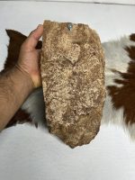 شاسی صخره پشت جمجمه پازن مدل 1 / model-1 - Image 5