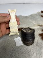 آناتومی انگشت الاغ همراه سم مدل 2 / Donkey-model-2 - Image 6