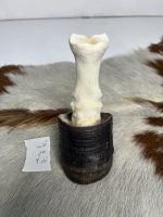 آناتومی انگشت الاغ همراه سم مدل 2 / Donkey-model-2 - Image 8