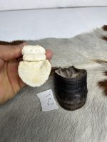 آناتومی انگشت الاغ همراه سم مدل 3 / Donkey-model-3 - Image 8