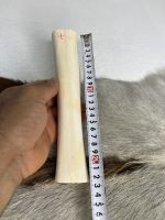 استخوان شتر (ساق شتر) شماره 4 / number-4
