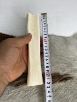 استخوان شتر (ساق شتر) شماره 4 / number-4 - Image 3