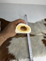 استخوان شتر (ساعد شتر) شماره 1 / number-1 - Image 4