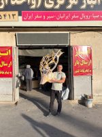 پک کامل جمجمه و شاخ گوزن مرال 16 خال با شاسی چوبی دیواری - maral-model-166 - Image 9