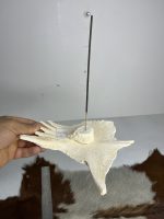 جاعودی طبیعی لاک لاکپشت مدل - 2 / turtle-2 - Image 3